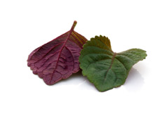 Bicoulor Perilla Leaves