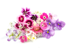 Romantic Edible Flowermix 