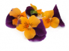 Eetbare bloemen | Viool Oranje Paars